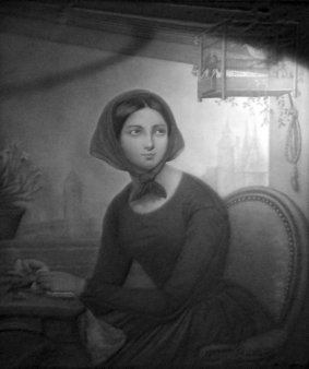 KPM 373, Lachtaube, nach Court