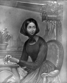 PPM 317, Lachtaube, nach Court