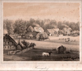 Henning, J., Heringsdorf, Die alte Wilhelmstraße, Lithographie nach W.v.Schack, D0163-5