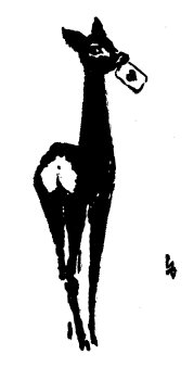 Heinz Bormann (1926 – 1974), Illustration, Seydel, 18 - 20 – passe, Eulenspiegelverlag Berlin 1958, S10