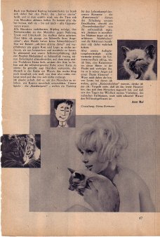 Das Magazin 65-03-67 Anni Mal, Katzenseelchen