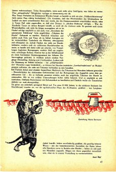 Das Magazin 65-11-47 Anni Mal, Der rasierte Dackel