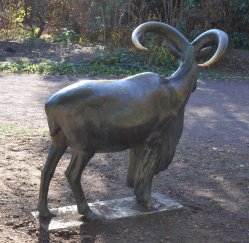 Mähnenspringer, Bronze Lauchhammer, 2. Abguss, Zoo Magdeburg