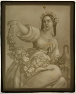 1362-1 HPM 230 Weinernte