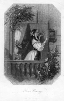 W.H.Mote, Rosas Canary,  Stahlstich nach A.E.Chalon, D2341-3