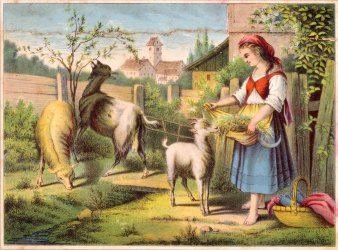 Farblithographie, „Komm Hans“ nach H. Werner um 1847, D1631