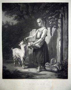 Hermann Droehmer (1820-1890), Lithographie, Komm Hans, nach H. Werner um 1847, D1346