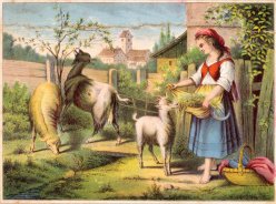 Farblithographie, „Komm Hans“ nach H. Werner um 1847, D1631