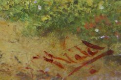 J. Wild, Signatur, D1691-3